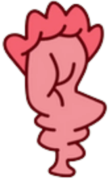 Hector S Stomach
