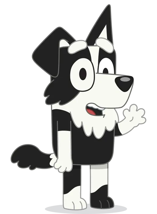 Mackenzie Border Collie