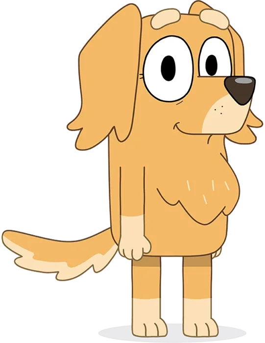 Mrs Retriever
