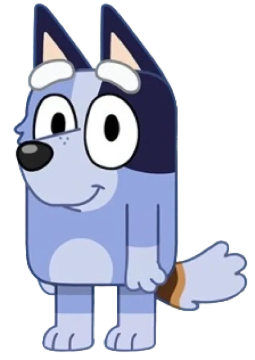 Socks Heeler
