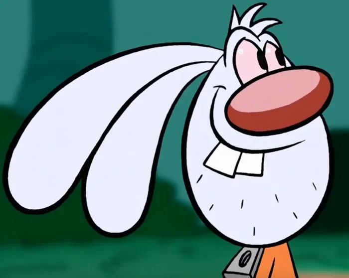 Mr Whiskers