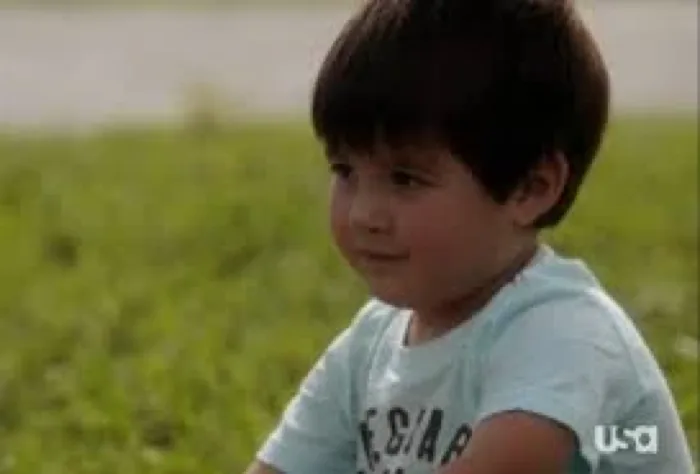 Charlie Westen