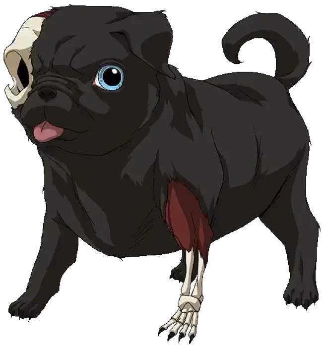 Cezar