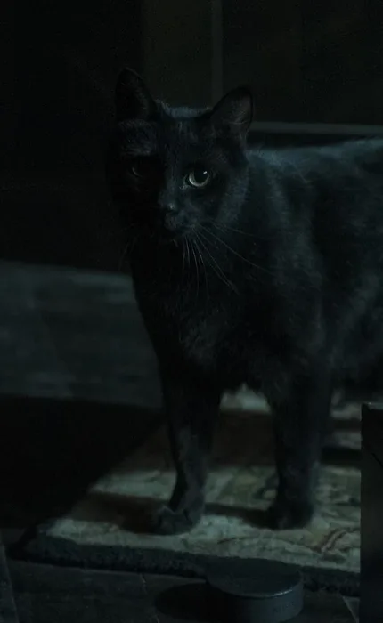 Salem