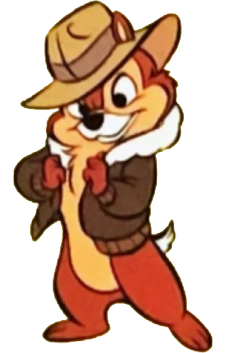 Chip