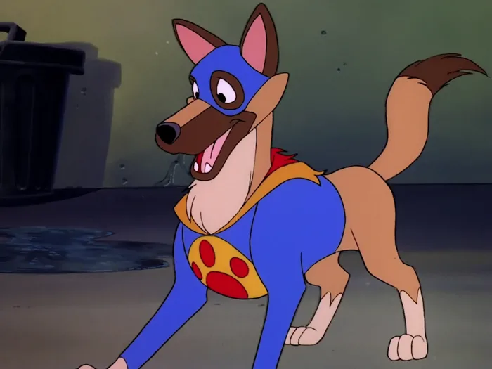 Flash The Wonder Dog