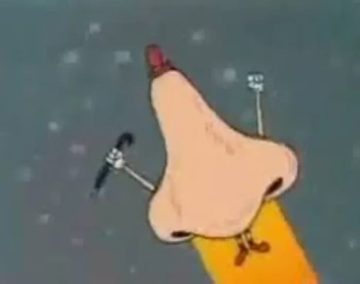 Mr Giant Realistic Human Nose
