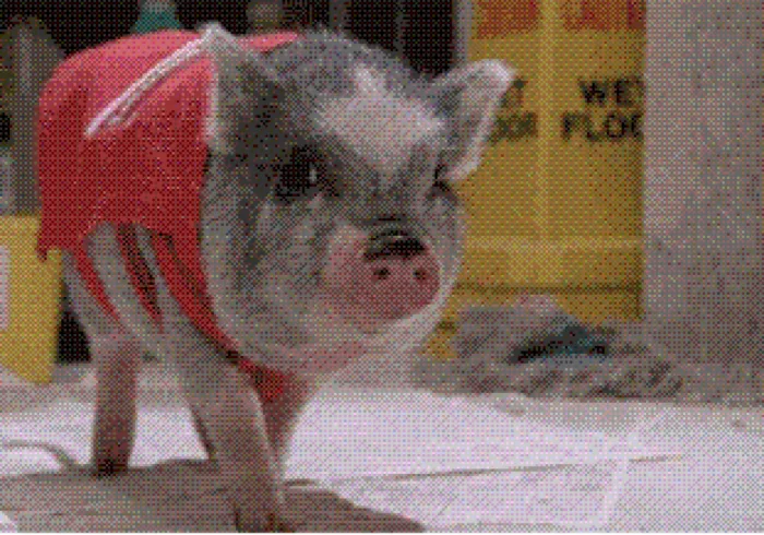 Kevin Bacon