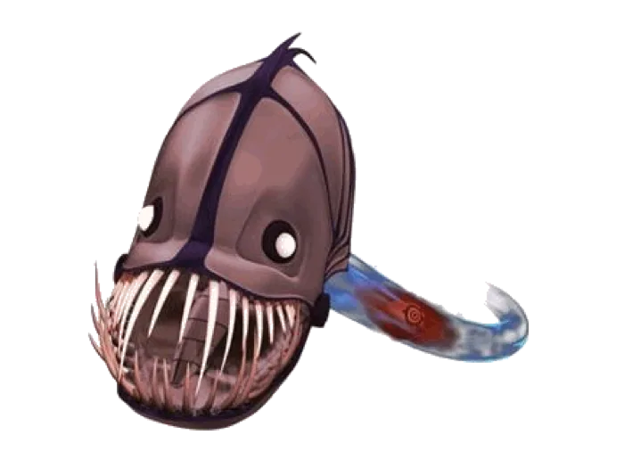 Kongre