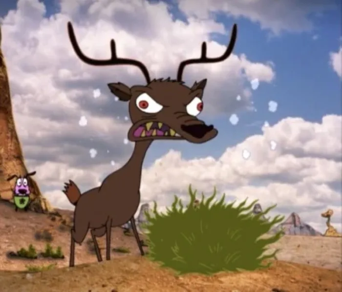 Deer