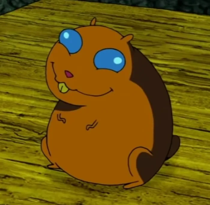 Hamster