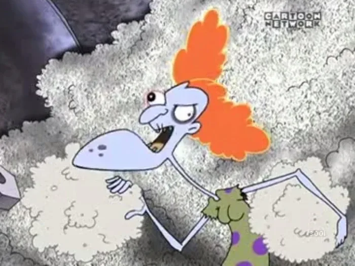Lint Lady