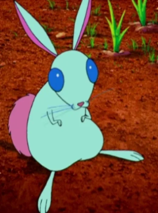Rabbit