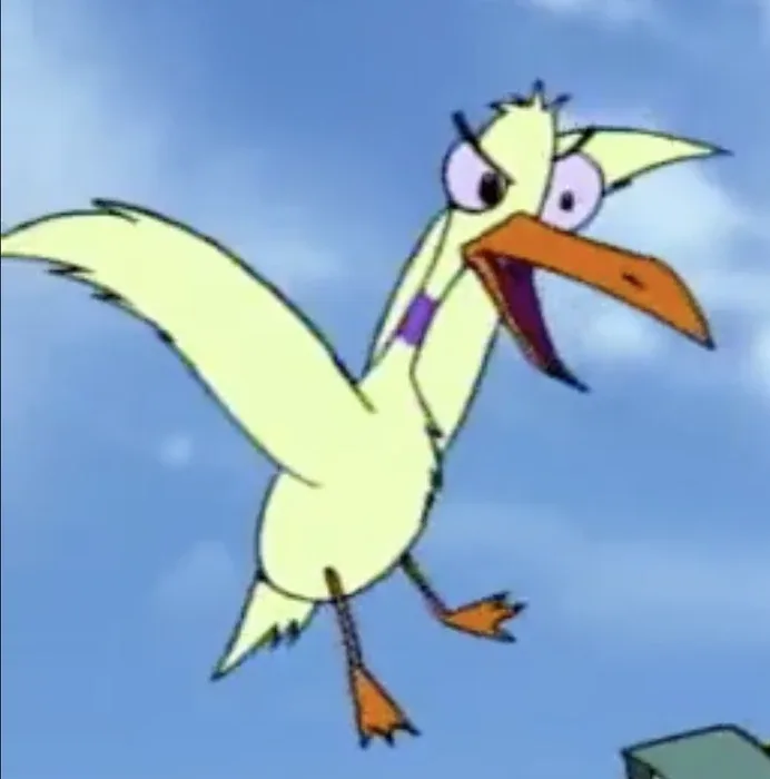 Seagull