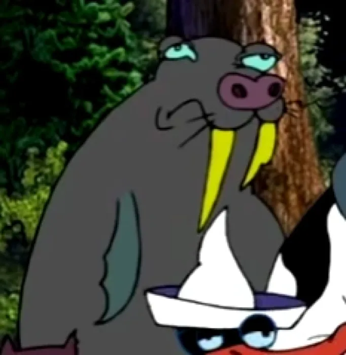 Walrus
