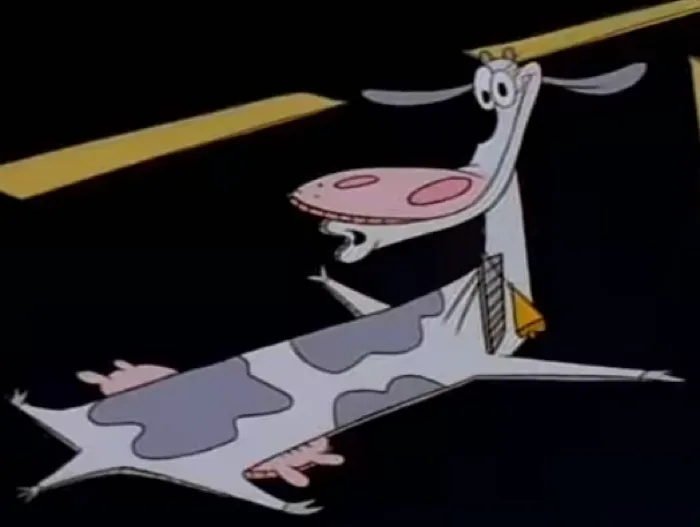 Sail Cow