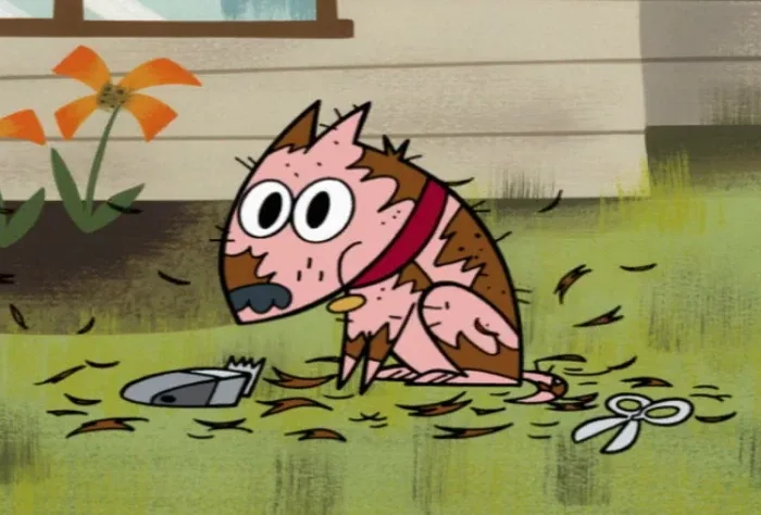 Dog
