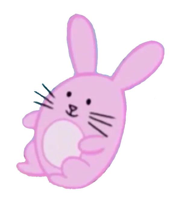 Mr Bunnydoodle