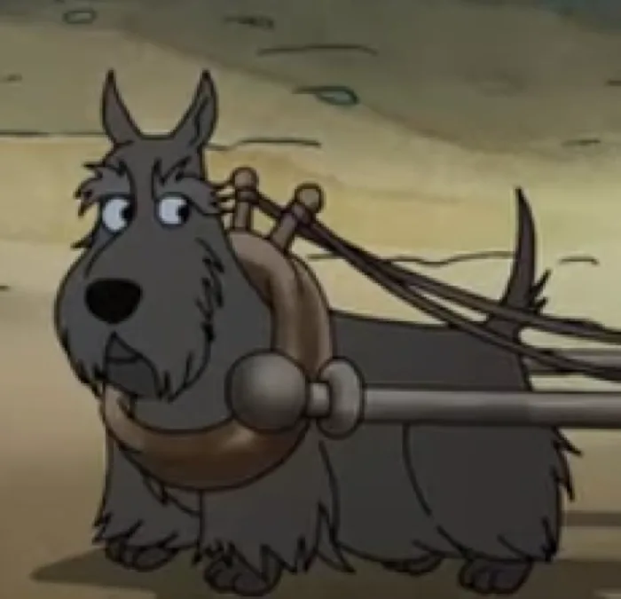 Barko