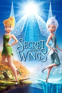 Poster For Secret Of