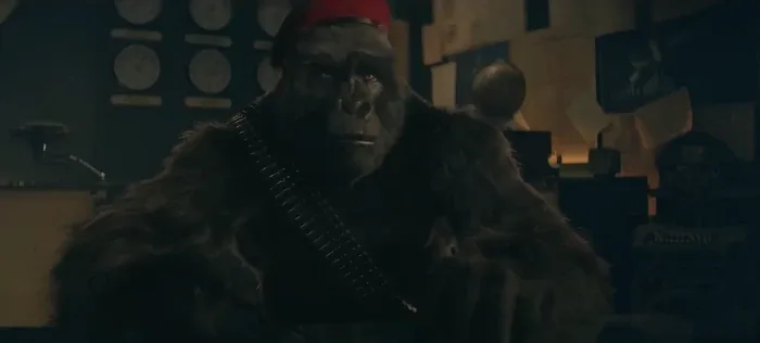 Monsieur Mallah