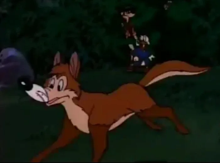 Dingo