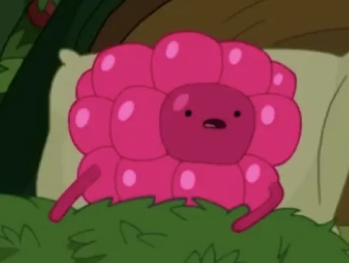 Mrs Goji Berry