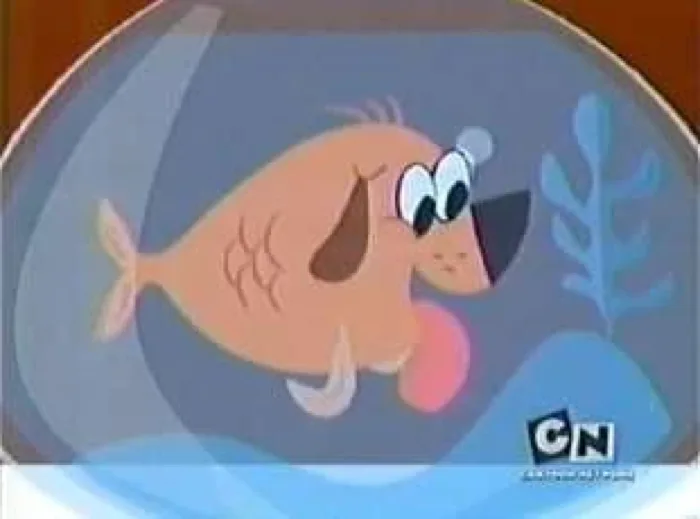 Fido