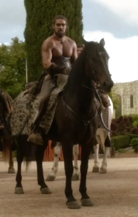 Drogo S Stallion