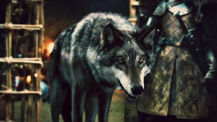 Grey Wind