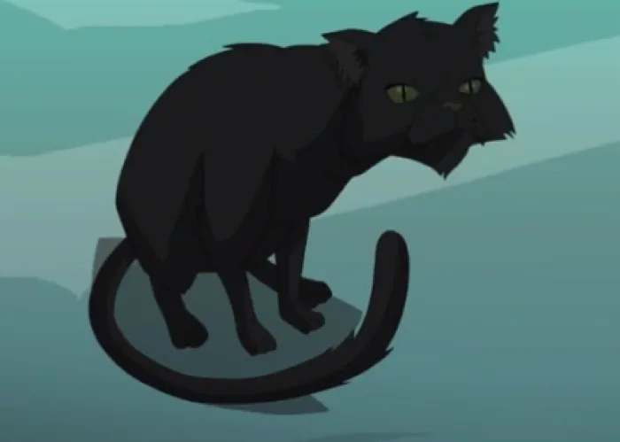 Black Cat