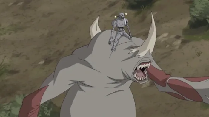 Rhinocerage