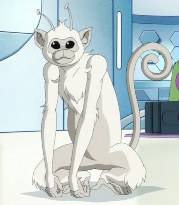 Koko