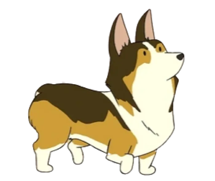 Messenger Corgi