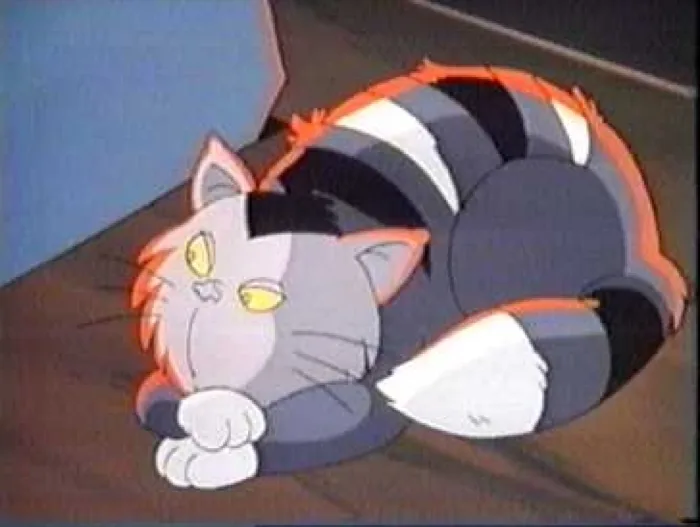 M A D Cat