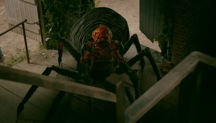 Arachne