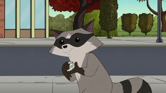 Recurring Raccoon