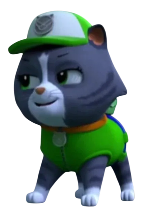 Cat Rocky