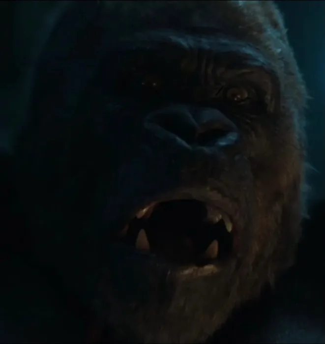 Charlie The Gorilla