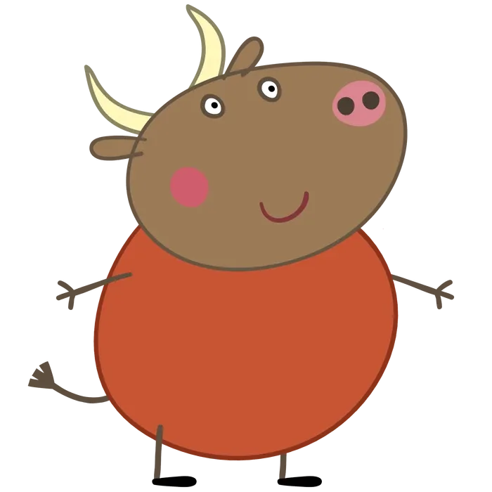 Mr Bull