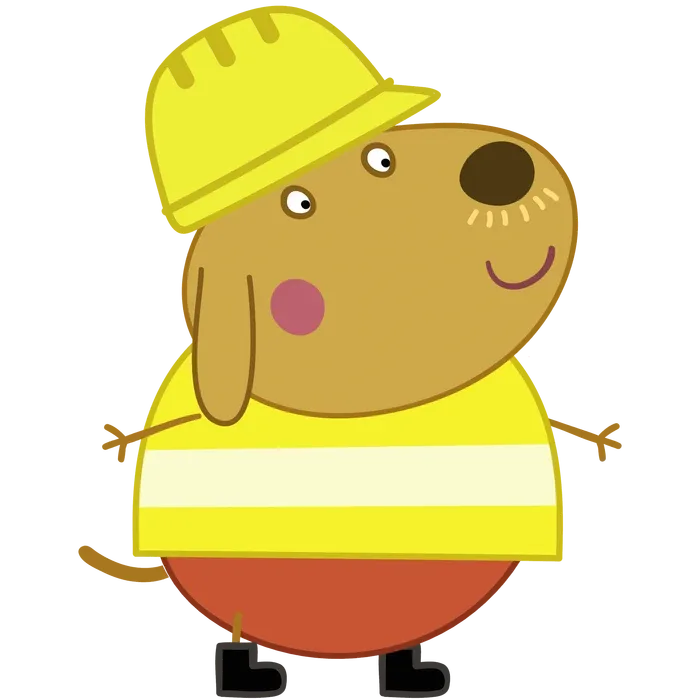 Mr Labrador