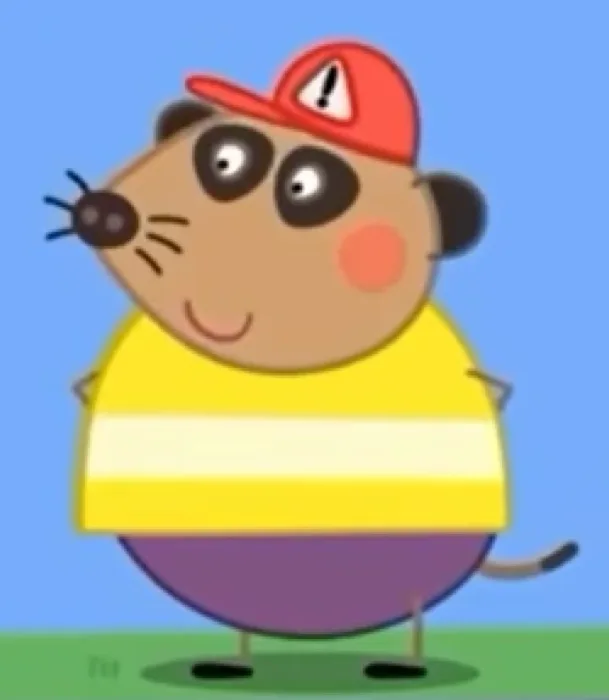 Mr Meerkat