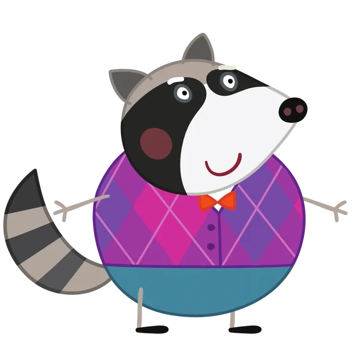 Mr Raccoon