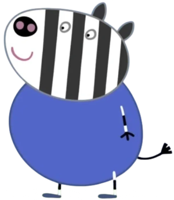 Mr Zebra