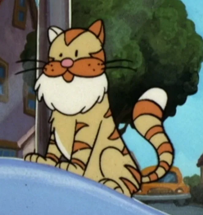 Steve The Cat