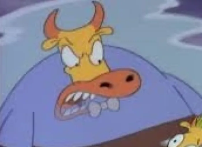 Mr Bull