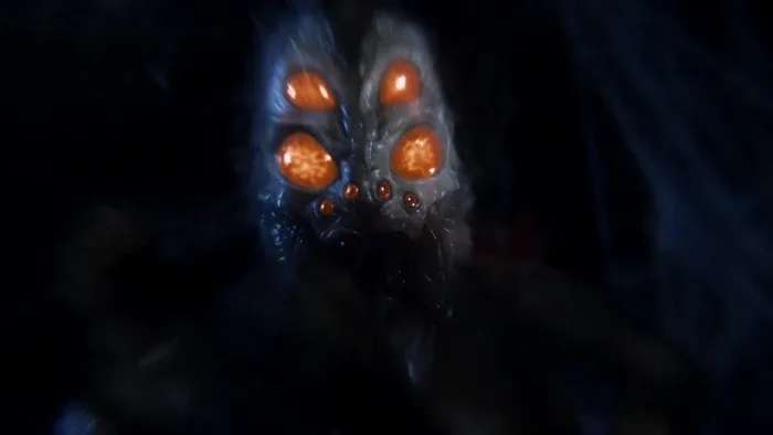 Sicarius Spei