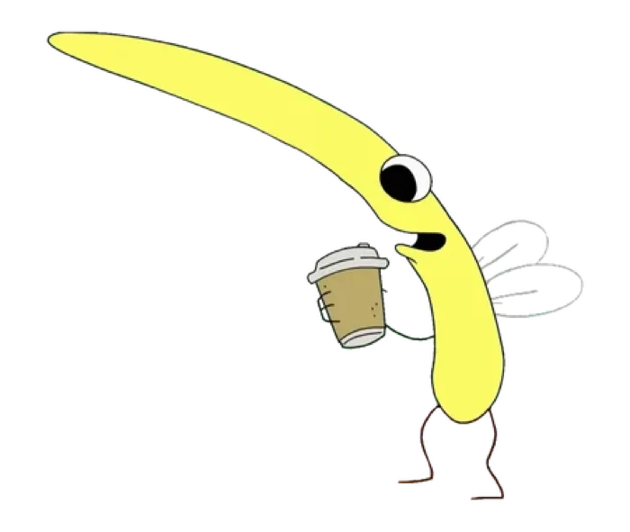 Bug