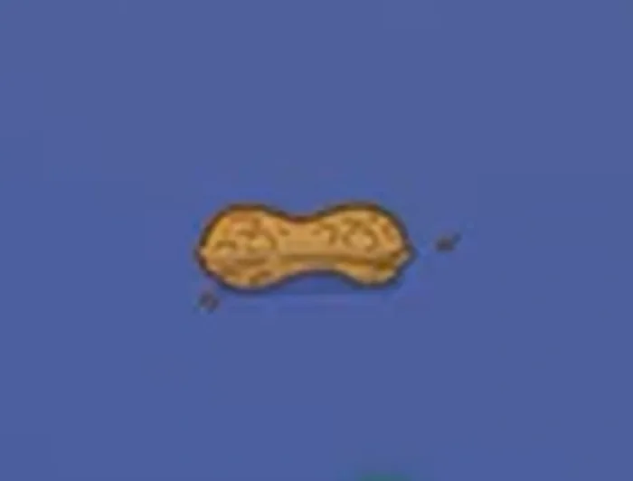 President Peanut