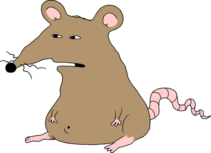 Sewer Rat